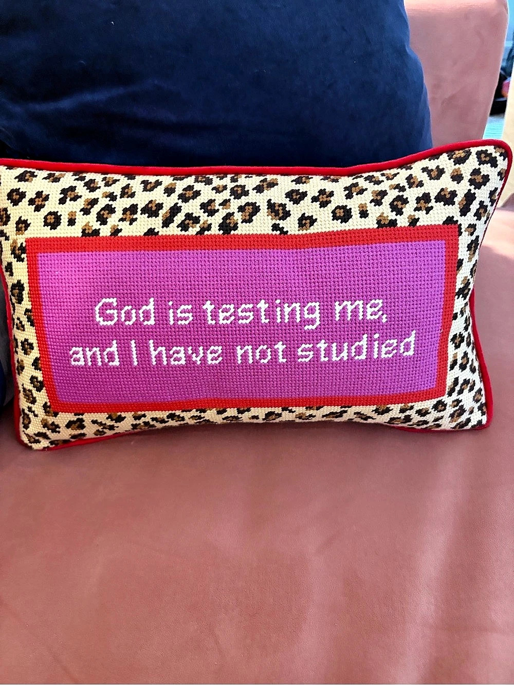 Furbish God Is Testing Me Needlepoint Pillow Red & Pink Almost New